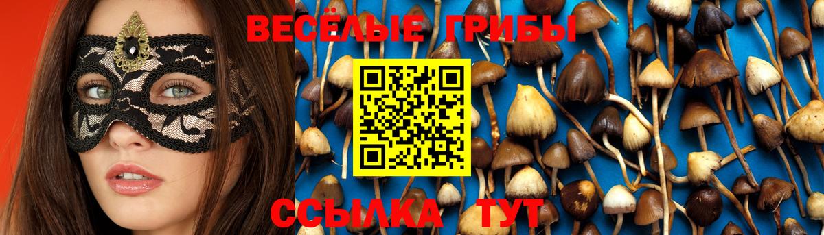 Галлюциногенные грибы ЛСД  Вход с VPN  Аксай 